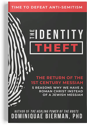 The Identity Theft book