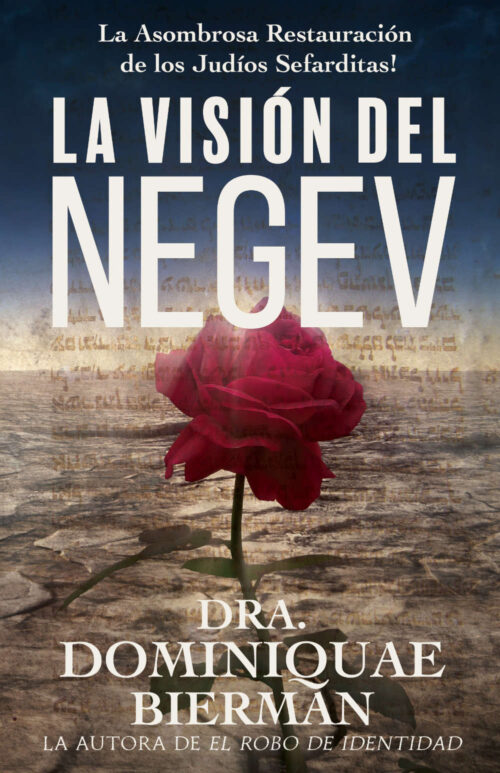 Vision Negev
