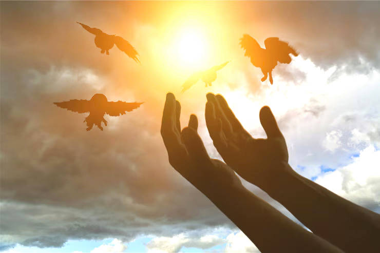 Under the Shadow of Yah’s Wings
