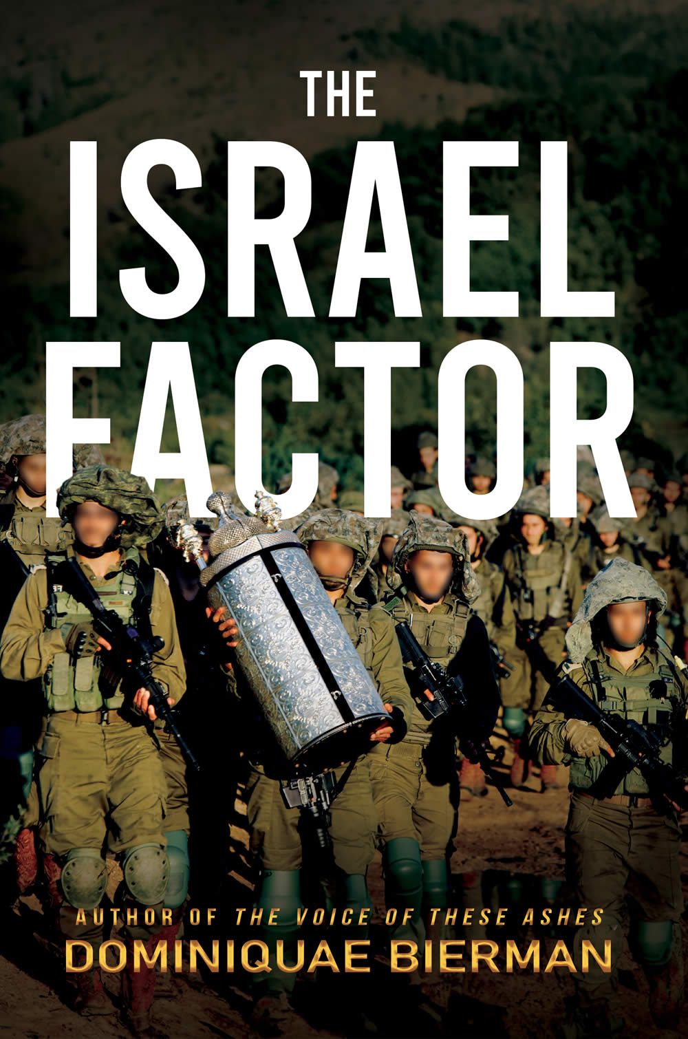The Israel Factor book
