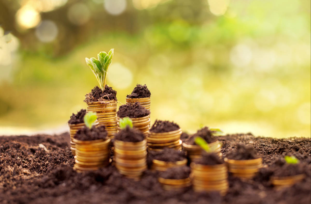 Golden coins growing like plants