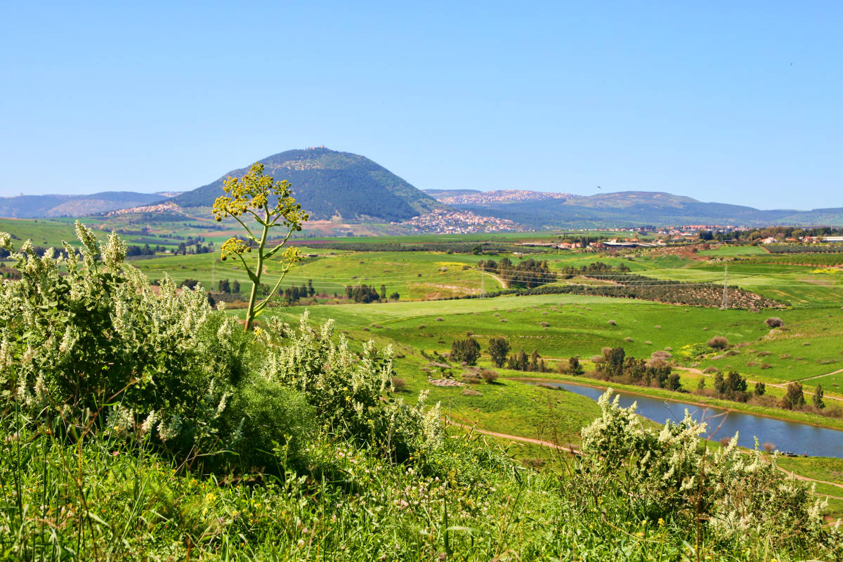 Israel in the Center