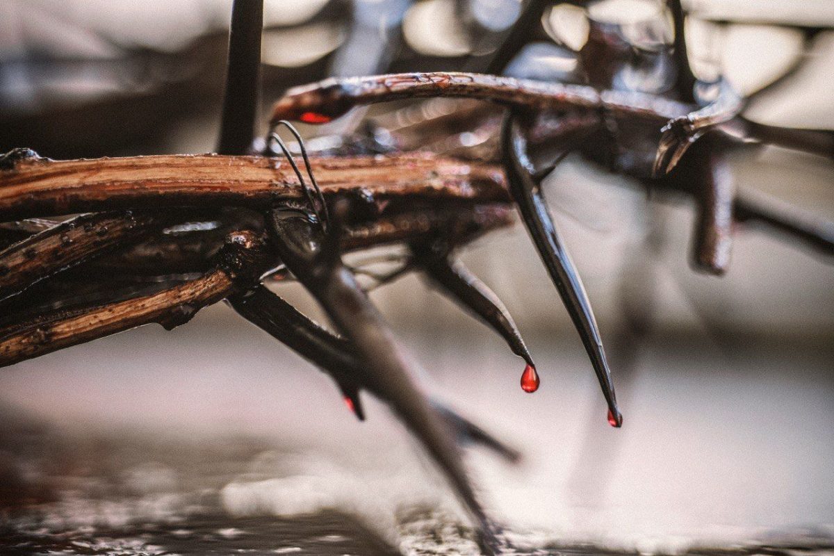 Was the Torah Nailed to the Cross?